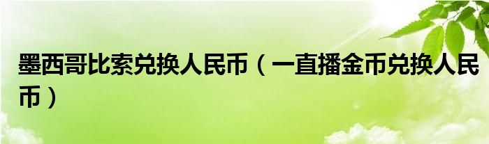 墨西哥比索兌換人民幣（一直播金幣兌換人民幣）