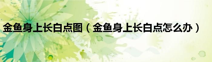 金魚身上長白點圖（金魚身上長白點怎么辦）
