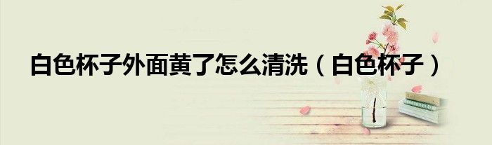 白色杯子外面黃了怎么清洗（白色杯子）