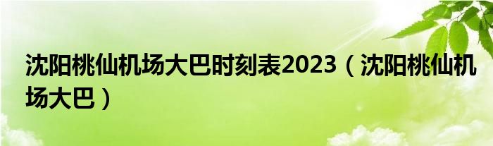 沈陽桃仙機場大巴時刻表2023（沈陽桃仙機場大巴）