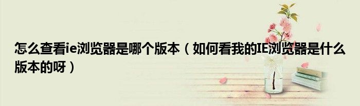 怎么查看ie瀏覽器是哪個版本（如何看我的IE瀏覽器是什么版本的呀）