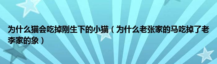 為什么貓會吃掉剛生下的小貓（為什么老張家的馬吃掉了老李家的象）