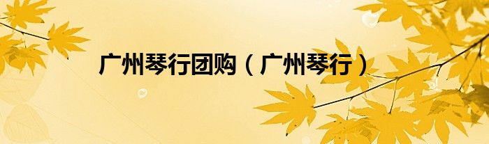 廣州琴行團購（廣州琴行）
