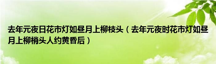 去年元夜日花市燈如晝月上柳枝頭（去年元夜時花市燈如晝月上柳梢頭人約黃昏后）