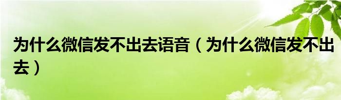 為什么微信發(fā)不出去語音（為什么微信發(fā)不出去）