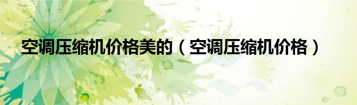 空調(diào)壓縮機(jī)價(jià)格美的（空調(diào)壓縮機(jī)價(jià)格）