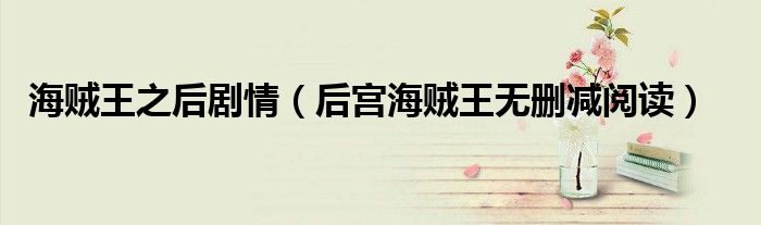 海賊王之后劇情（后宮海賊王無刪減閱讀）