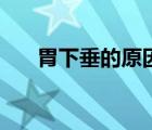 胃下垂的原因及危害（胃下垂的原因）