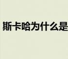 斯卡哈為什么是碧池（斯卡哈母豬般的女神）