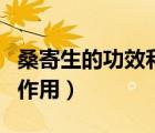 桑寄生的功效和作用及禁忌（桑寄生的功效和作用）