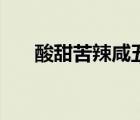 酸甜苦辣咸五味雜陳（辣有道五味鍋）