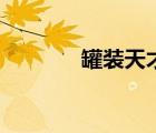 罐裝天才電腦版（罐裝天才）