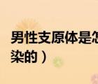 男性支原體是怎么感染上的（支原體是怎么感染的）