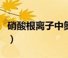 硝酸根離子中氮原子的雜化方式（硝酸根離子）