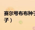 賽爾號布布種子可以和誰融合（賽爾號布布種子）