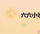 六六小說雙面膠（六六小說）