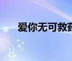 愛你無可救藥完整版（愛你無可救藥）