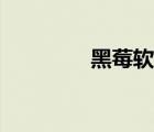 黑莓軟件商店（黑莓軟件）