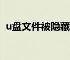 u盤文件被隱藏?zé)o法取消（u盤文件被隱藏）