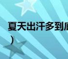 夏天出汗多到底好不好（夏天出汗多螞蟻莊園）
