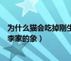 為什么貓會吃掉剛生下的小貓（為什么老張家的馬吃掉了老李家的象）