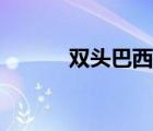 雙頭巴西龜（雙頭巴西龜價格）