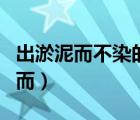 出淤泥而不染的而怎么解釋（出淤泥而不染的而）