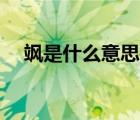 颯是什么意思網(wǎng)絡(luò)用詞（sa是什么意思）