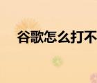 谷歌怎么打不開網(wǎng)址（谷歌怎么打不開）
