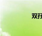 雙孖JL視頻（雙孖jl）
