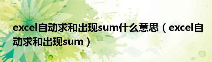 excel自動(dòng)求和出現(xiàn)sum什么意思（excel自動(dòng)求和出現(xiàn)sum）