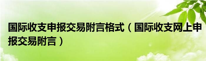 國際收支申報交易附言格式（國際收支網(wǎng)上申報交易附言）