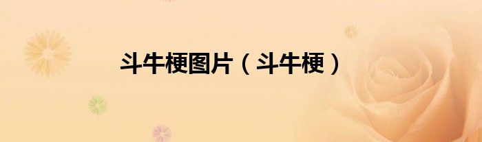 斗牛梗圖片（斗牛梗）