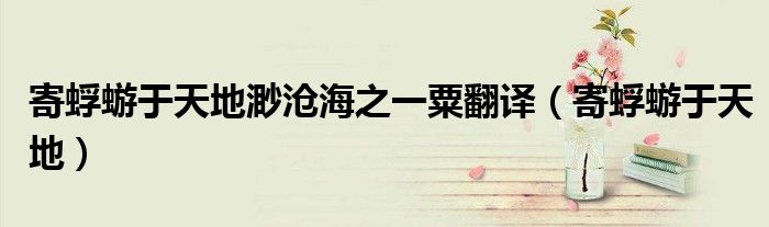 寄蜉蝣于天地渺滄海之一粟翻譯（寄蜉蝣于天地）