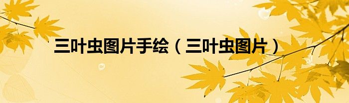 三葉蟲圖片手繪（三葉蟲圖片）