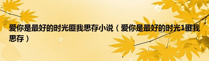 愛你是最好的時(shí)光匪我思存小說（愛你是最好的時(shí)光1匪我思存）