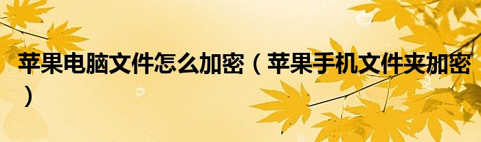 蘋果電腦文件怎么加密（蘋果手機(jī)文件夾加密）
