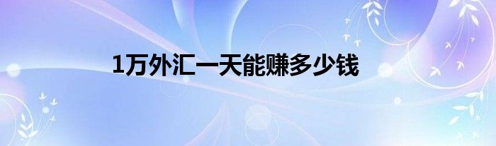 1萬(wàn)外匯一天能賺多少錢