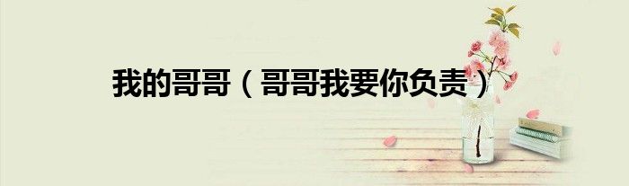 我的哥哥（哥哥我要你負(fù)責(zé)）