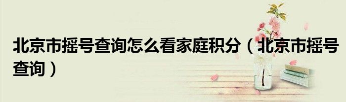 北京市搖號查詢怎么看家庭積分（北京市搖號查詢）