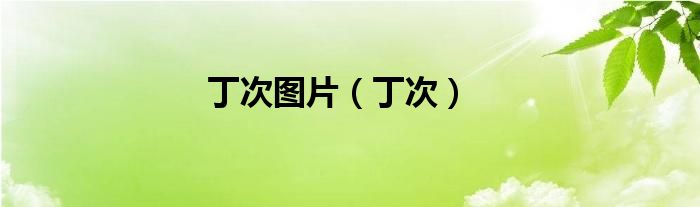 丁次圖片（丁次）