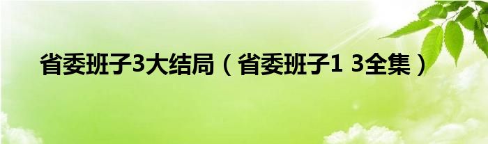 省委班子3大結(jié)局（省委班子1 3全集）