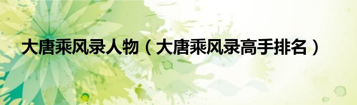 大唐乘風(fēng)錄人物（大唐乘風(fēng)錄高手排名）