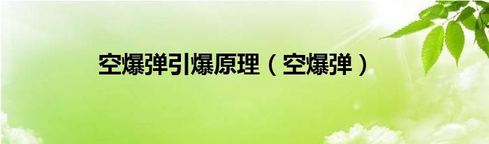 空爆彈引爆原理（空爆彈）