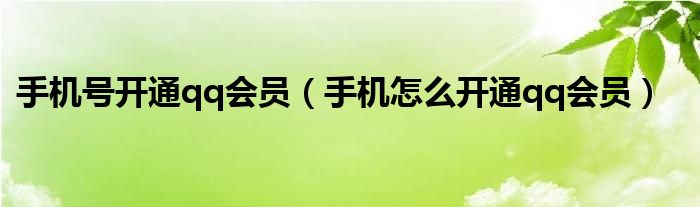 手機(jī)號開通qq會員（手機(jī)怎么開通qq會員）