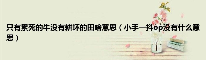 只有累死的牛沒(méi)有耕壞的田啥意思（小手一抖op沒(méi)有什么意思）