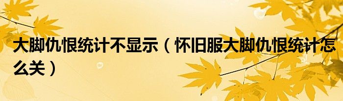 大腳仇恨統(tǒng)計(jì)不顯示（懷舊服大腳仇恨統(tǒng)計(jì)怎么關(guān)）