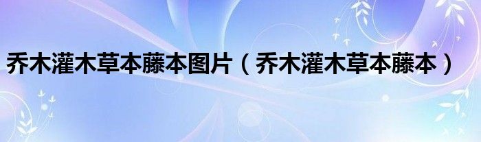 喬木灌木草本藤本圖片（喬木灌木草本藤本）