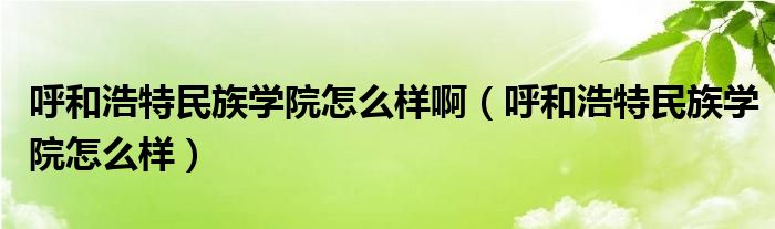 呼和浩特民族學(xué)院怎么樣?。ê艉秃铺孛褡鍖W(xué)院怎么樣）