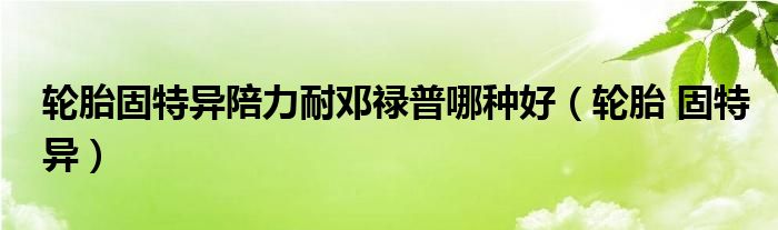輪胎固特異陪力耐鄧祿普哪種好（輪胎 固特異）